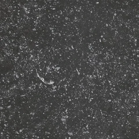 MTD Tile Coralstone Black 8×8 MTD-23569